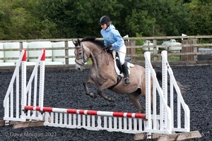 Class 1 - Fences 1'6 to 1'9